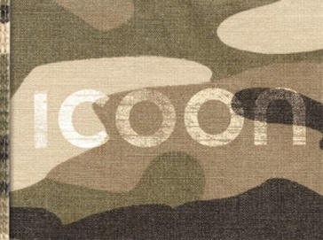 Woordenboek ICOON Camouflage Global Picuture Dictionary | Amberpress