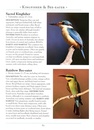 Vogelgids a Naturalist's guide to the Birds of Australia | John Beaufoy