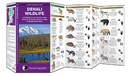 Natuurgids Adventure Set Denali National Park & Preserve | National Geographic