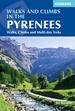 Wandelgids The Pyrenees - Pyreneeen | Cicerone