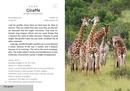 Natuurgids Kruger Wildlife | HPH Publishing