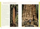 Reisgids Yosemite and Sequoia / Kings Canyon National Parks | Fodor's Travel