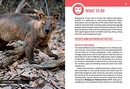 Reisgids Insight Pocket Guide Madagascar  | Insight Guides