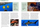 Duikgids - Natuurgids An Underwater Guide to the Red Sea - Rode Zee | John Beaufoy