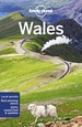 Reisgids Wales | Lonely Planet