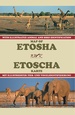 Wegenkaart - landkaart Map of Etosha | Honeyguide