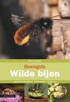 Basisgids wilde bijen