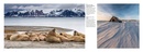 Fotoboek Arctic | Amber Books