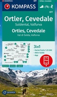 Ortler - Cevedale