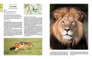 Reisgids - Reishandboek Addo Self-drive | HPH Publishing