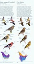 Vogelgids Sibley Field Guide to Birds of Eastern North America - USA en Canada | Alfred Knopf