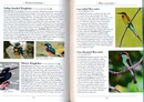 Vogelgids a Naturalist's guide to the Birds of the Philippines  - Vogels Filipijnen | John Beaufoy